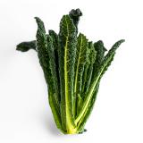 Schwarzkohl, eigener Anbau