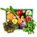 Gemüsekiste regional 20 Euro