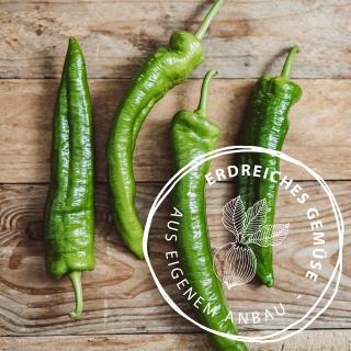 Paprika spitz, grün, eigener Anbau