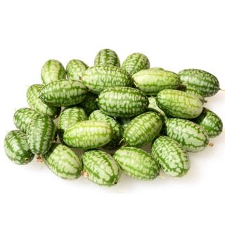 Mexikanische Minigurke, eigener Anbau