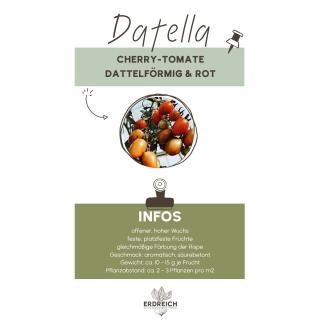 Cherrytomate, Datella, JUNGPFLANZE