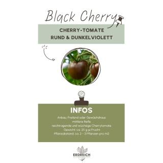 Cherrytomate, Black Cherry, JUNGPFLANZE