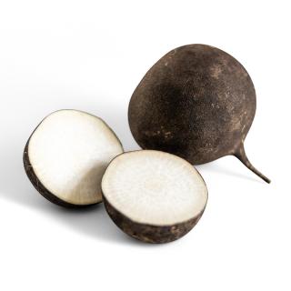 Schwarzer Rettich, regional