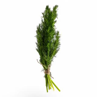 Dill, regional