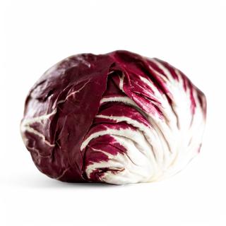 Radicchio, eigener Anbau