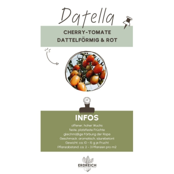 Cherrytomate, Datella, JUNGPFLANZE