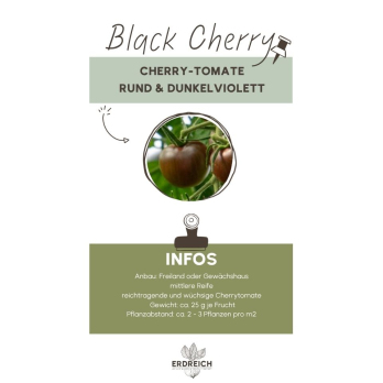 Cherrytomate, Black Cherry, JUNGPFLANZE