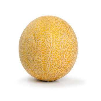 Honigmelone, Cantaloupe