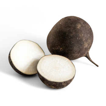 Schwarzer Rettich, regional