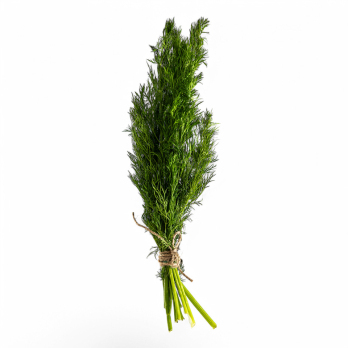 Dill, regional