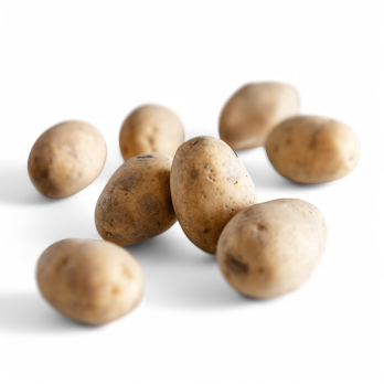 Kartoffeln "Wega", 2,5 kg, vorw. festkochend, regional