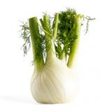 Fenchel