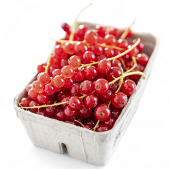Johannisbeeren, rot, 250g Schale