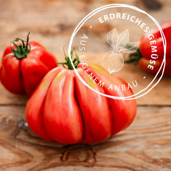 Fleischtomate, Rugantino, eigener Anbau