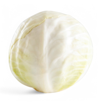 Weißkohl
