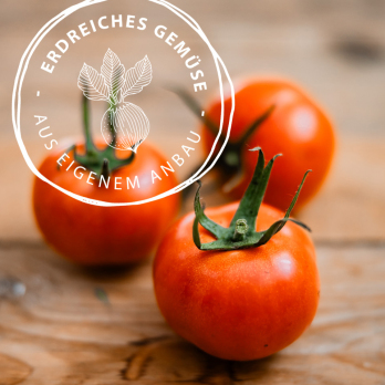 Tomaten, Roterno, eigener Anbau