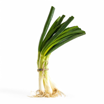 Lauchzwiebeln, eigener Anbau