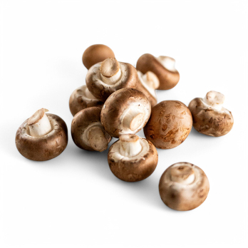 Champignons