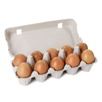 Eier 10 Stück, Größe M