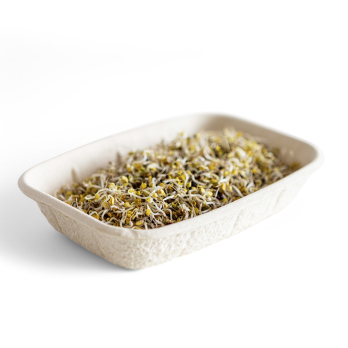 Brokkolisprossen samenfest, 70g